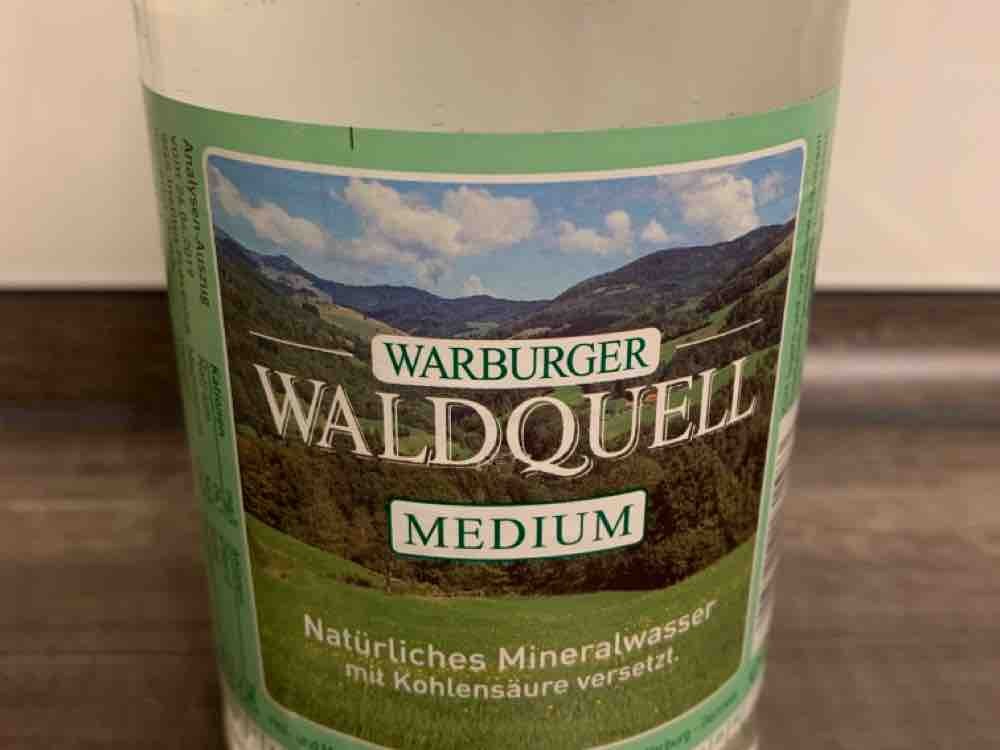 Warburger  Waldquell Medium von derbuze | Hochgeladen von: derbuze
