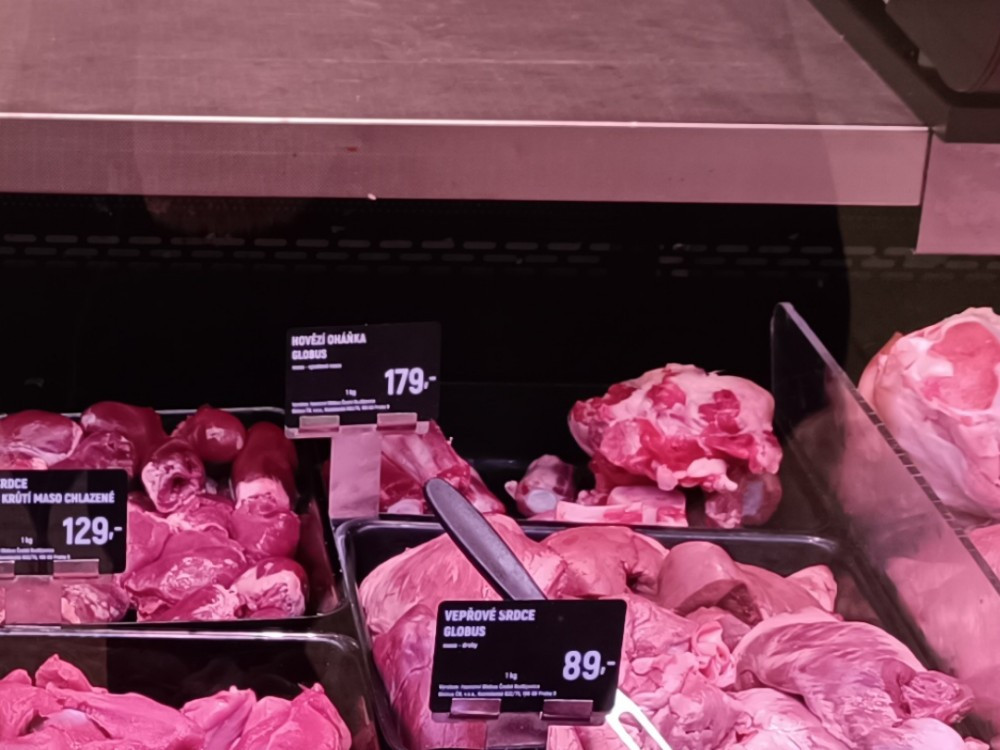 Hochgeladen von: Stella Steinbrenner