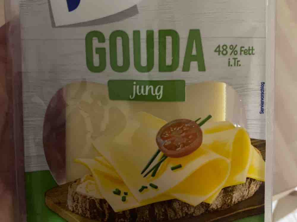 Gouda jung, 48% Fett i. Tr. von Gogel1904 | Hochgeladen von: Gogel1904