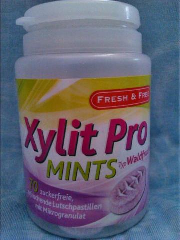 Xylit Pro Mints Waldfrucht | Hochgeladen von: diät4