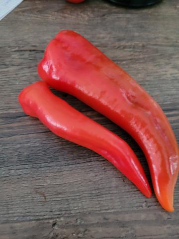 Paprika rot,, Spitz von Hautnah | Hochgeladen von: Hautnah