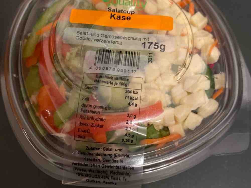 Salatcup Käse von TobiHeinz | Hochgeladen von: TobiHeinz