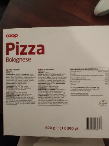 Pizza Bolognese, Bolognese | Hochgeladen von: Oke90