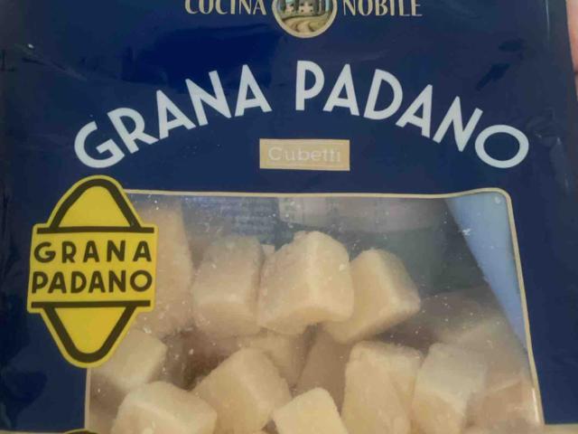 grana padano von Ronnyace | Hochgeladen von: Ronnyace