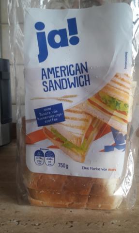 American Sandwich, Weizen | Hochgeladen von: Jojo1