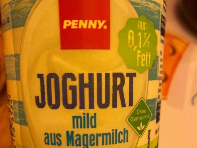 Joghurt mild, aus Magermilch 0,1% von NiEi | Hochgeladen von: NiEi