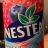 Nestea, Waldfrucht von robertklauser | Hochgeladen von: robertklauser