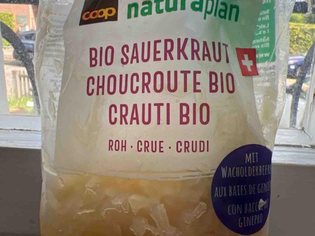 sauerkraut, bio by NWCLass | Uploaded by: NWCLass