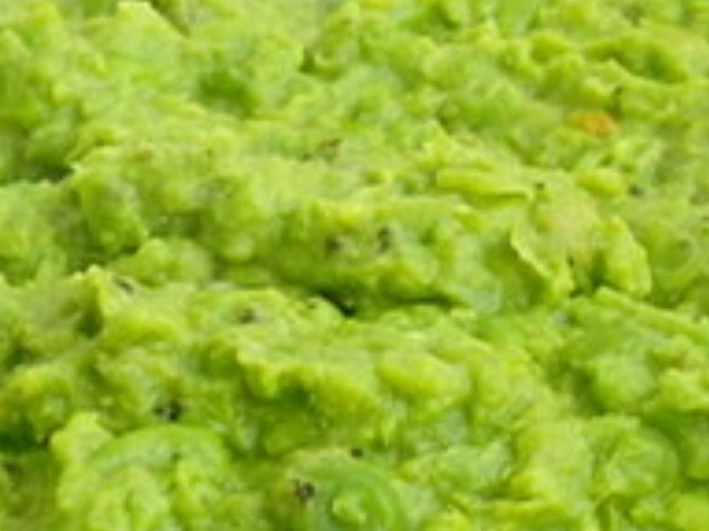 Hochgeladen von: reinwart