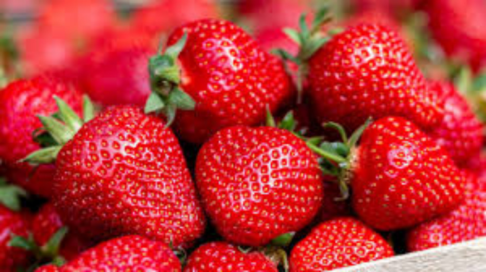 Erdbeere von Silvan | Hochgeladen von: Silvan