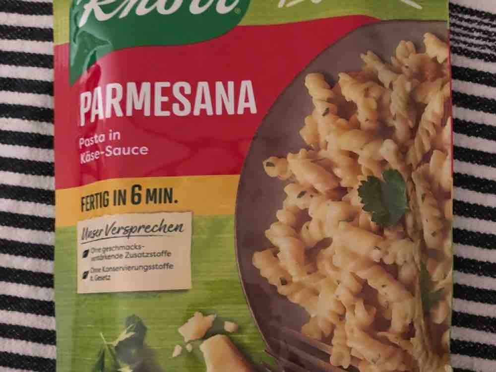Parmesana, Käse von chp3490 | Hochgeladen von: chp3490