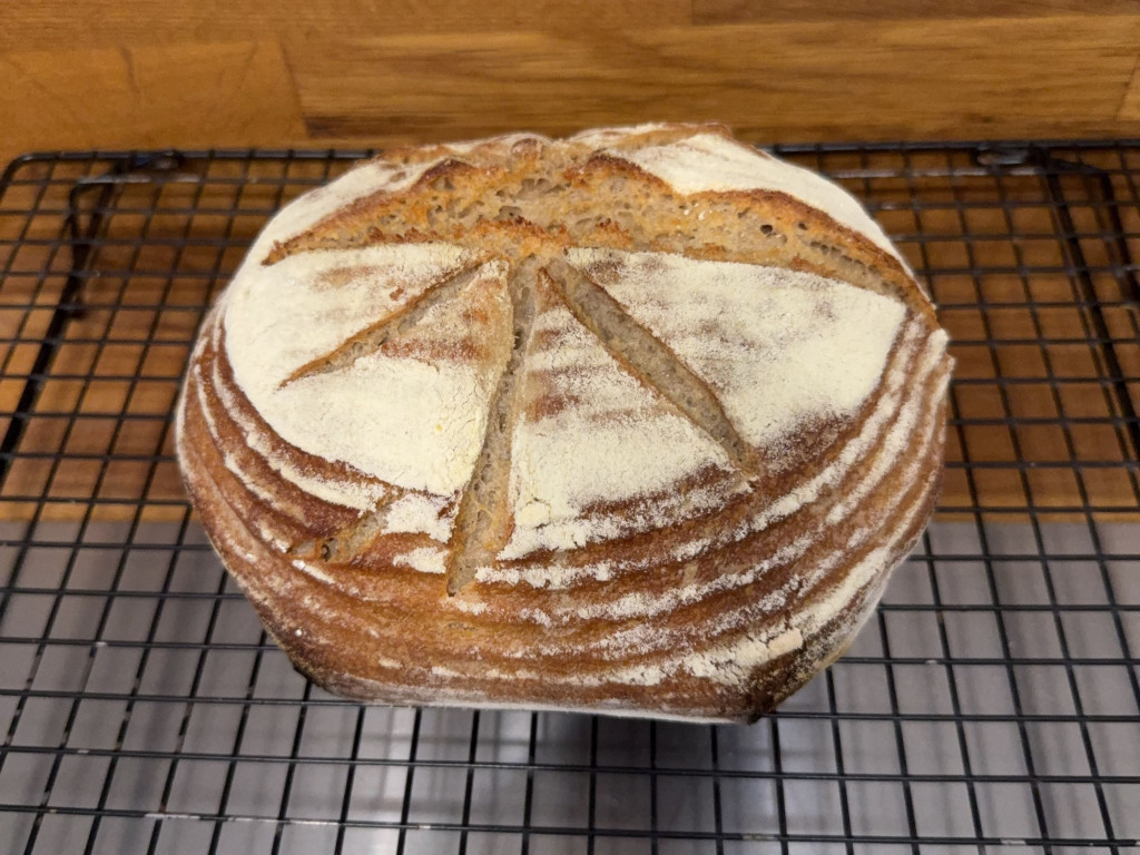 Hochgeladen von: Vegiemaus