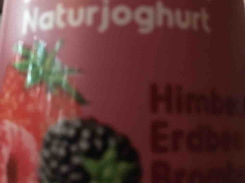Smoojo Smoothie mit Naturjoghurt, Himbeer-Erdbeer-Brombeer von M | Hochgeladen von: MKravu