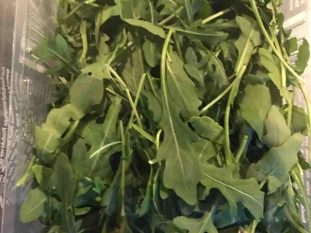 Rucola Salat , Gemüse  von BGCAPO | Uploaded by: BGCAPO