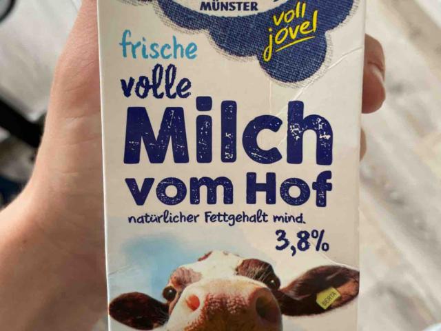 Frische Vollmilch, natürlicher Fettgehalt mind. 3,8% von MircoSt | Hochgeladen von: MircoStock