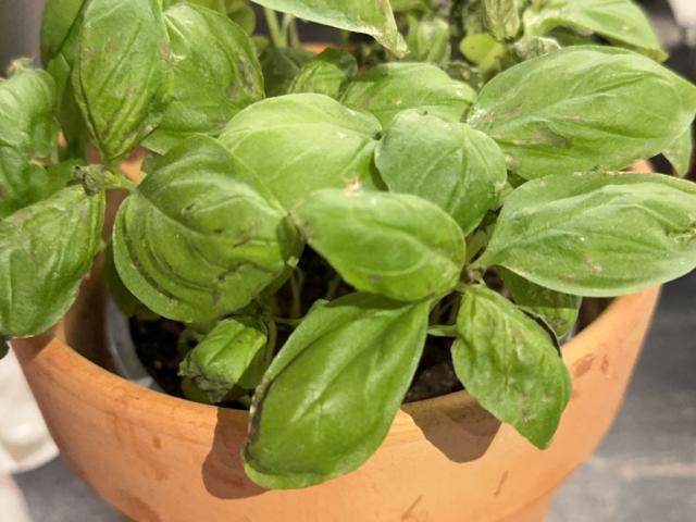 Hochgeladen von: TinaTet