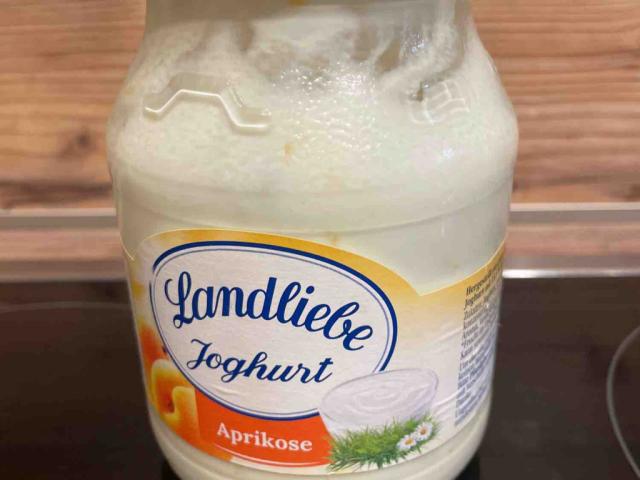 Landliebe, Joghurt Aprikose von Schlemmerbine | Hochgeladen von: Schlemmerbine