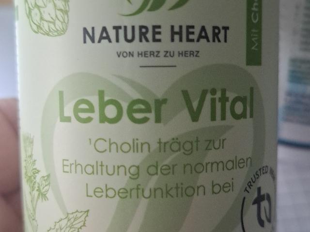 Hochgeladen von: ErzWerk Hochgeladen von: ErzWerk