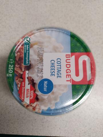 cottage cheese budget spar by Annabanana25 | Uploaded by: Annabanana25