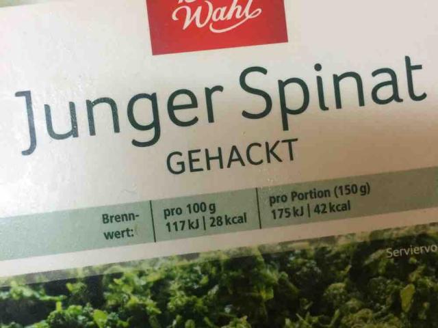 Junger Spinat, gehackt  von Kimki | Hochgeladen von: Kimki