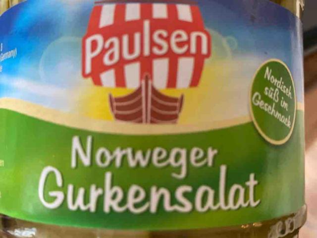 Norweger Gurkensalat by Isa1803 | Hochgeladen von: Isa1803