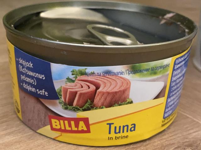 Tuna in Brine von fittami | Hochgeladen von: fittami