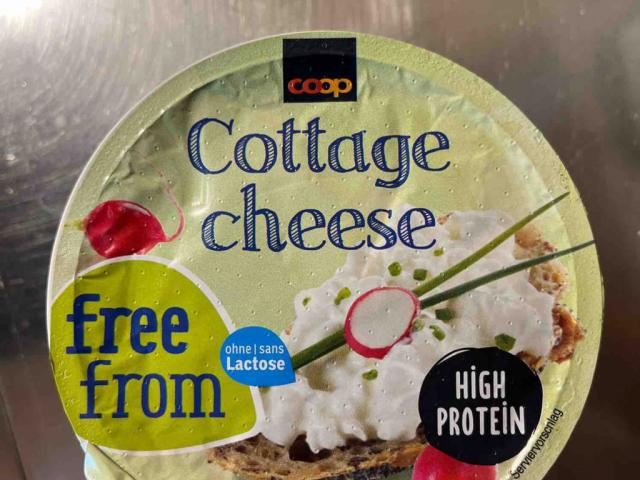 Cottage Cheese, free from/high protein by newafokinmend | Uploaded by: newafokinmend