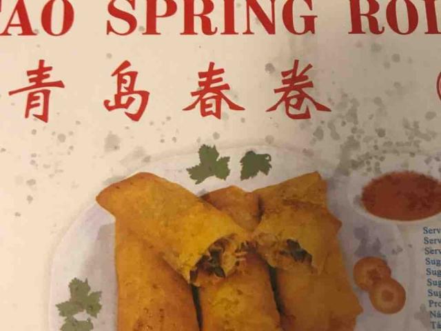 Tsingtao Spring Roll von DeSilvi | Hochgeladen von: DeSilvi