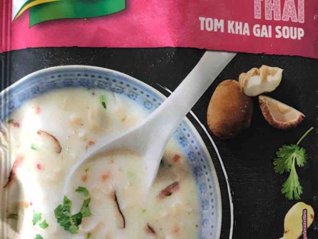 Tom Kha Gai soup by ndousse | Uploaded by: ndousse