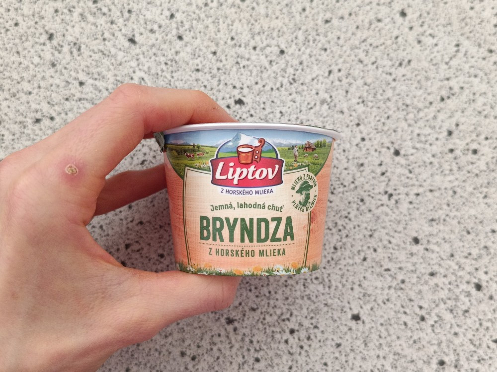 Hochgeladen von: Stella Steinbrenner