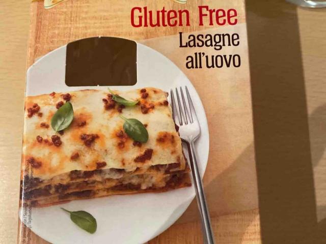 Lasagne Platte glutenfrei by alexkuck | Uploaded by: alexkuck