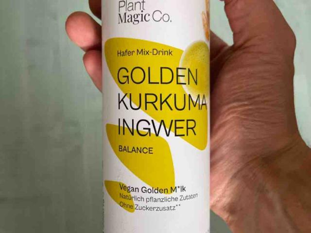 Golden Kurkuma Ingwer, Hafer Mix-Drink von alex1144 | Hochgeladen von: alex1144