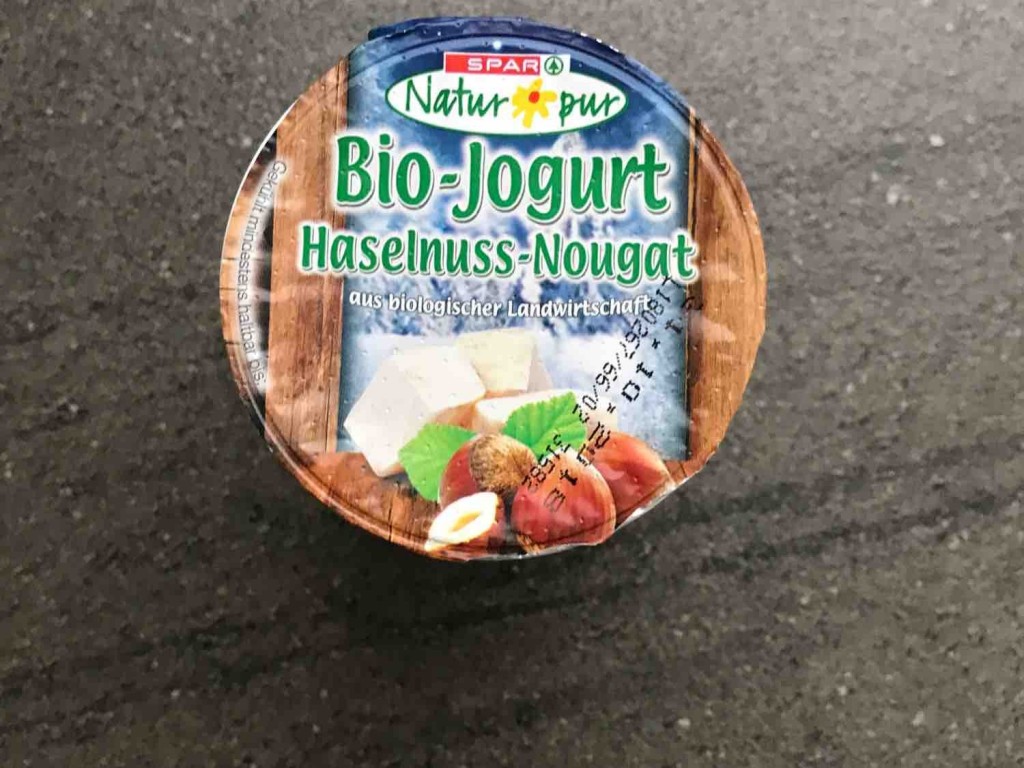 Natur pur Bio-Jogurt, Haselnuss-Nougat von maus2006 | Hochgeladen von: maus2006