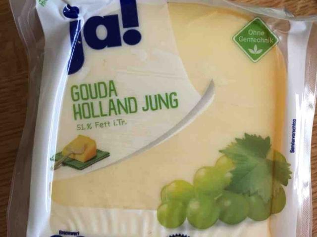 Gouda Holland Jung, 51% Fett by captainjaci | Uploaded by: captainjaci