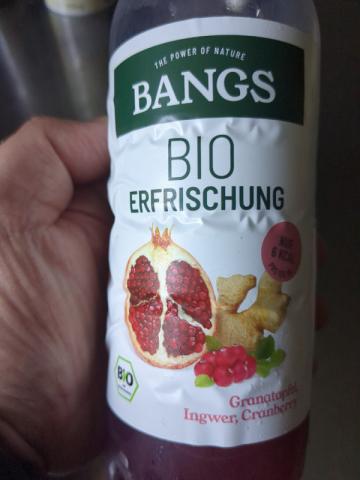 Bio Erfrischung, Granatapfel, Ingwer, Cranberry von HangmanTen | Hochgeladen von: HangmanTen