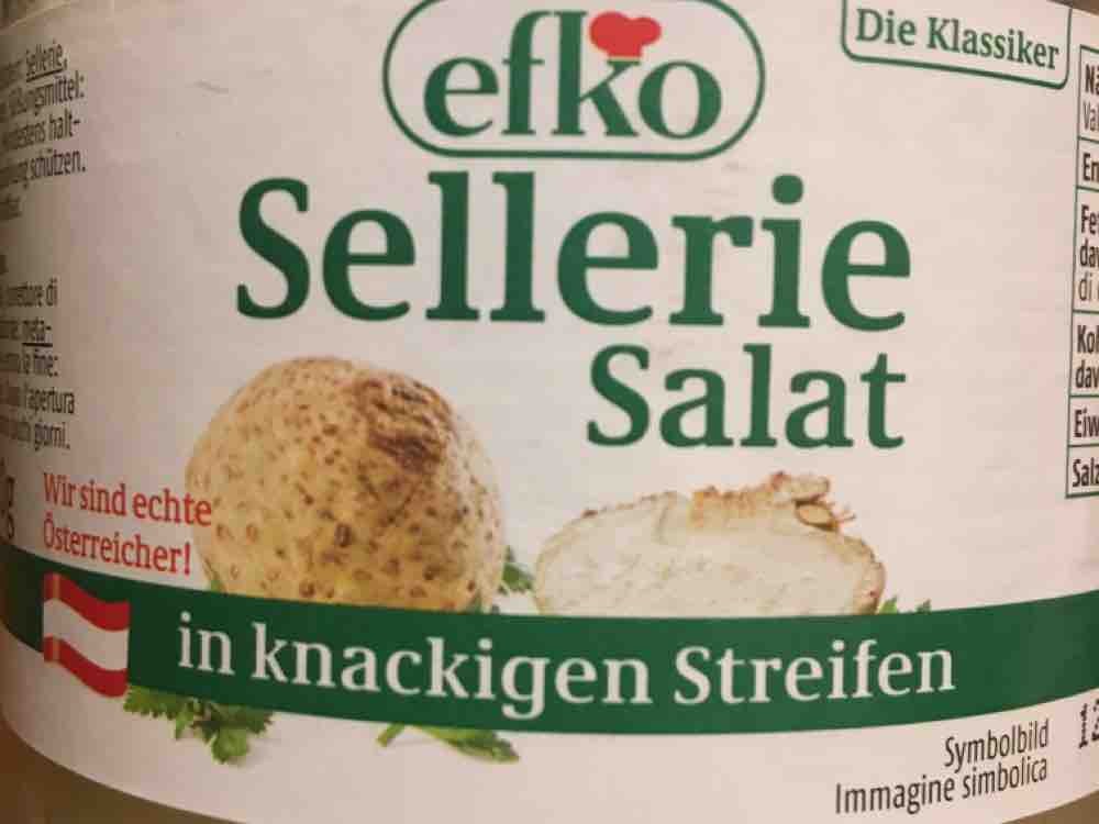 Selleriesalat, in knackigen Steifen von pezzl | Hochgeladen von: pezzl
