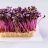 Shiso-Kresse | Hochgeladen von: j.zels