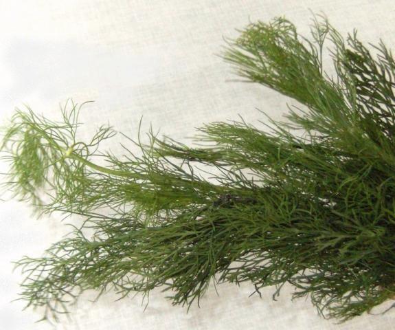 Hochgeladen von: Meleana