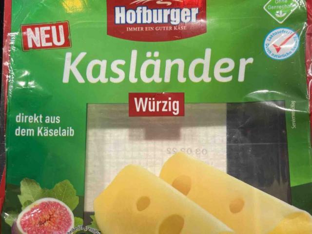 Käsländer, würzig von ClaudiaB | Hochgeladen von: ClaudiaB