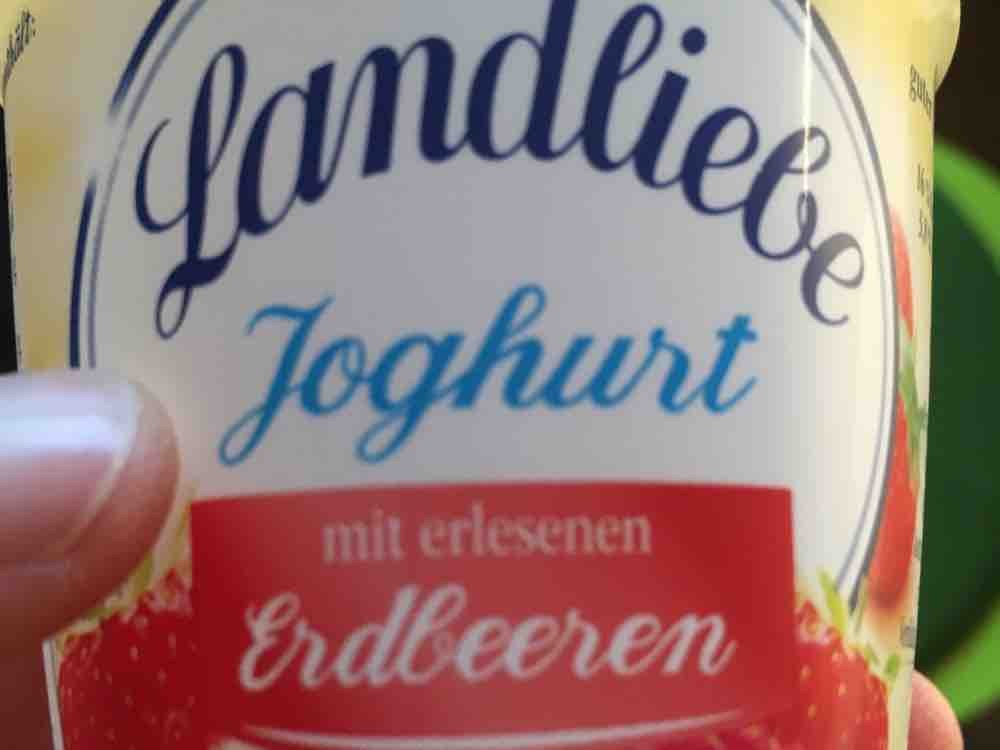 Joghurt, Erdbeer von BabsM | Hochgeladen von: BabsM