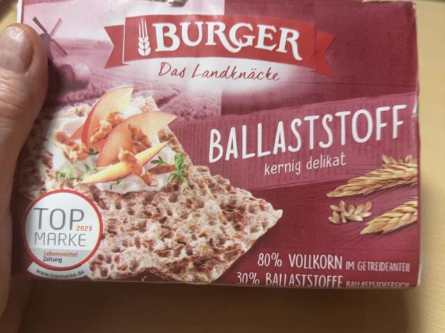 Burger Ballaststoff Knäckebrot von Oedipus | Hochgeladen von: Oedipus