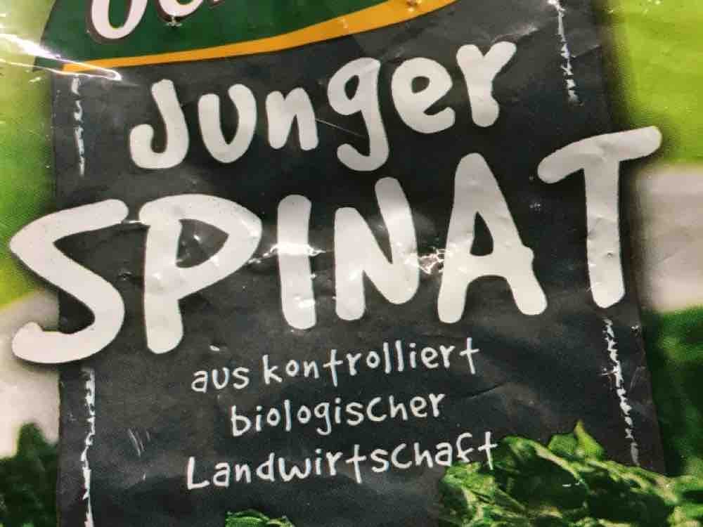 Junger Spinat, Erntefrisch tiefgefroren von FraukeG | Hochgeladen von: FraukeG