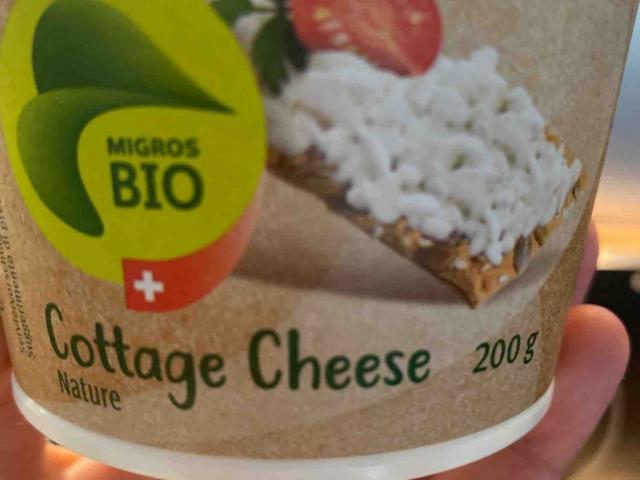 Bio Cottage Cheese by Tam1108 | Uploaded by: Tam1108