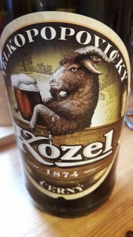 Kozel Bier dunkel von G.K | Hochgeladen von: G.K