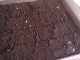 2014-09-04 Brownies | Hochgeladen von: Kaktuskatze
