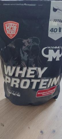 Whey Protein Strawberry Cheesecake Chocolate Chip von Varunes | Hochgeladen von: Varunes