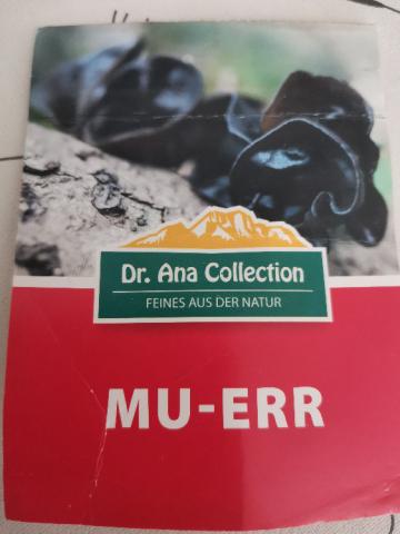 Mu-Err-Pilz, getrocknet von Ovid21 | Hochgeladen von: Ovid21