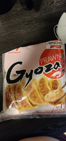 Prawn Gyoza von Hirasuki | Hochgeladen von: Hirasuki