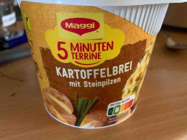 5 Minuten Terrine, Kartoffelbrei mit Steinpilzen by simp4death | Uploaded by: simp4death