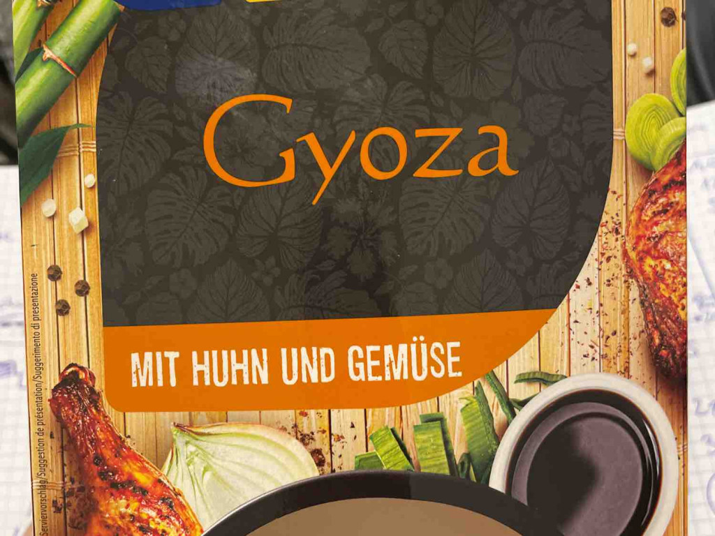 Gyoza, mit Huhn und Gemüse von TB1992 | Hochgeladen von: TB1992